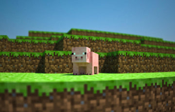 The Incredible Journey of Minecraft's Rise to Stardom