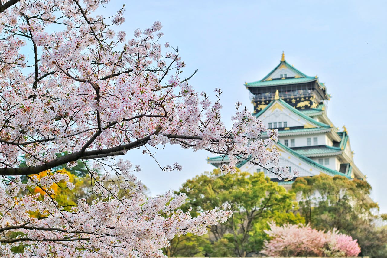20 Fun Facts About Japan for Kids That Spark Curiosity and Learning
