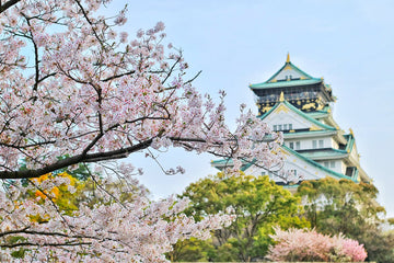 20 Fun Facts About Japan for Kids That Spark Curiosity and Learning