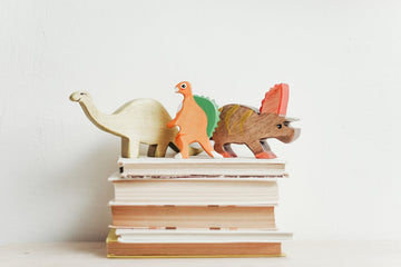 Books with dinosaur Toys