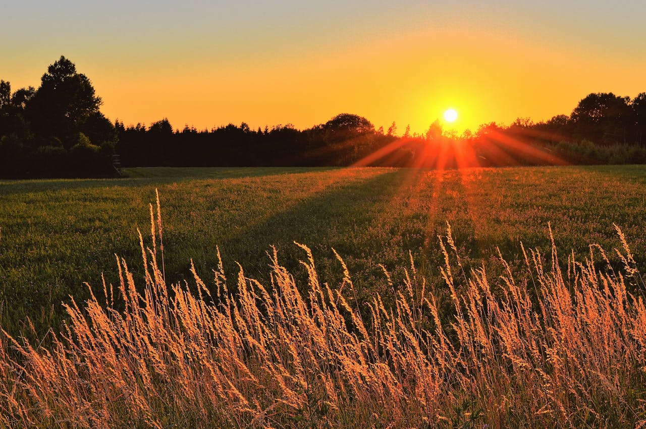 5 Parenting Ideas We Can Take from Sweden