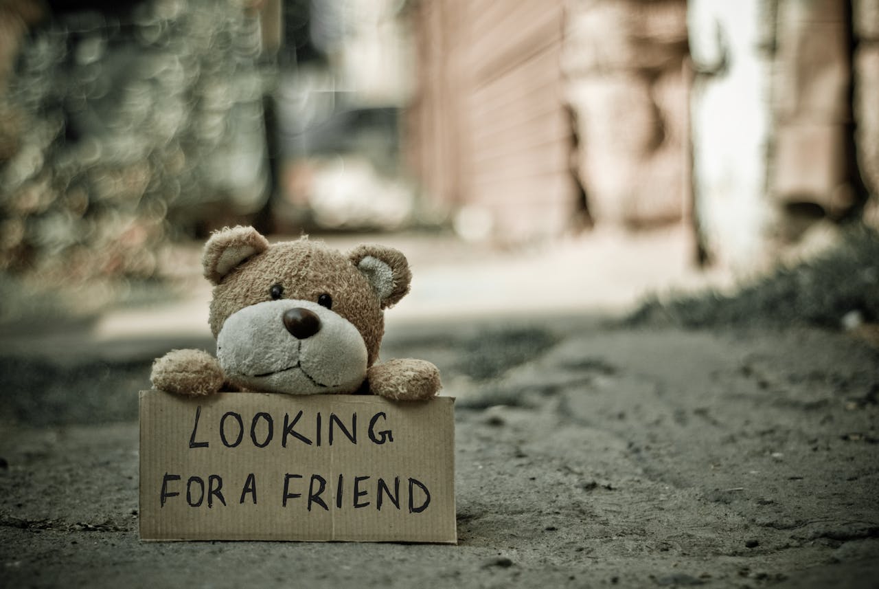 Teddy Bear holding a "Looking for a friend" banner