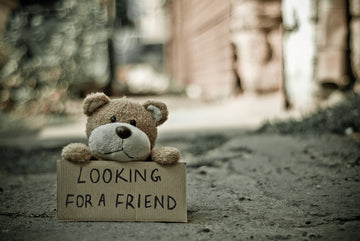 Teddy Bear holding a "Looking for a friend" banner